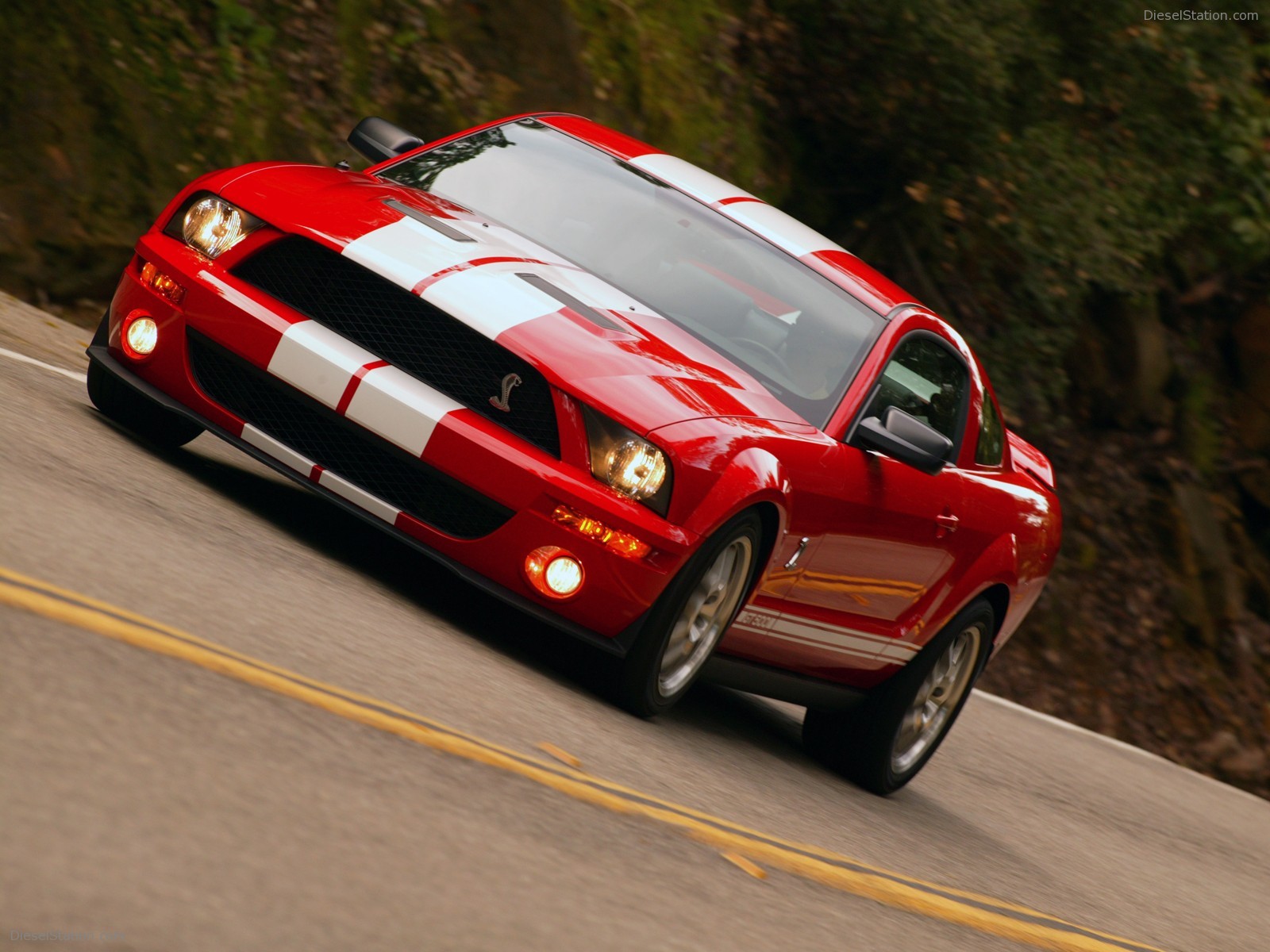 Ford Shelby Cobra GT500